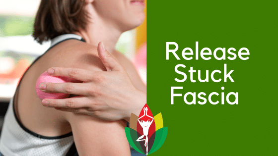Fascia Release and Massage Therapy